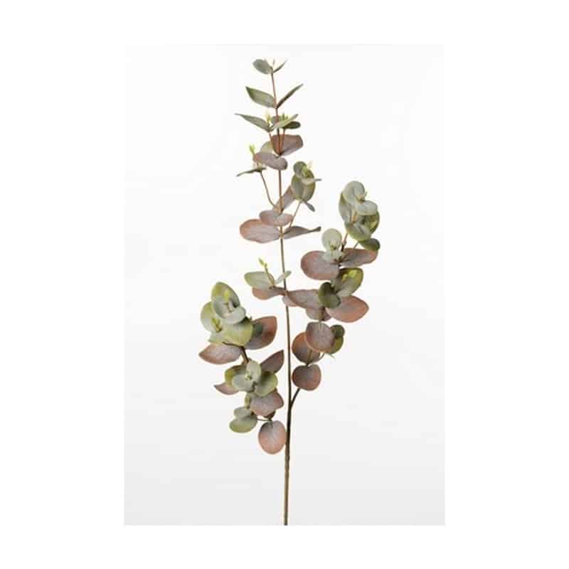 eucalyptus gren oliven 70 cm
