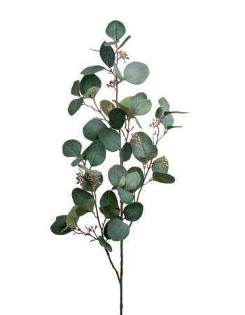 Eucalyptus 100cm