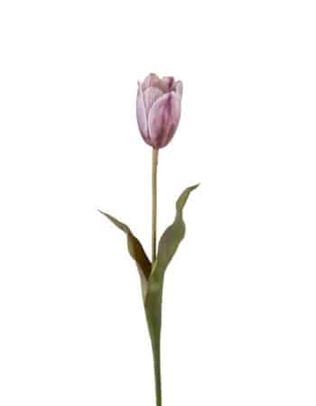 Tulipan 58cm Lilla