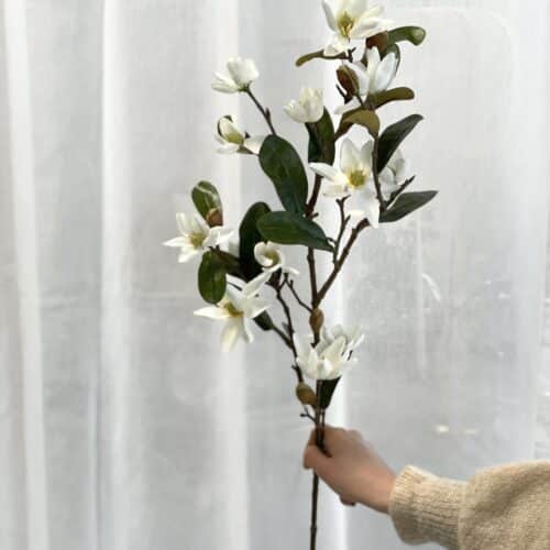 Magnolia 85cm