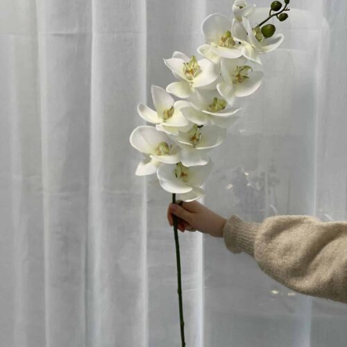 Orkidé Hvid 105cm