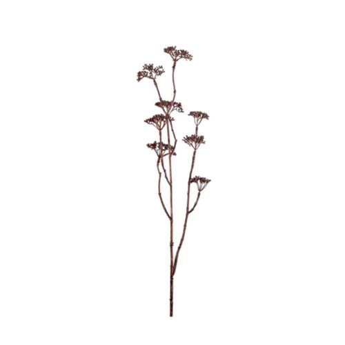 kvist brun 70 cm