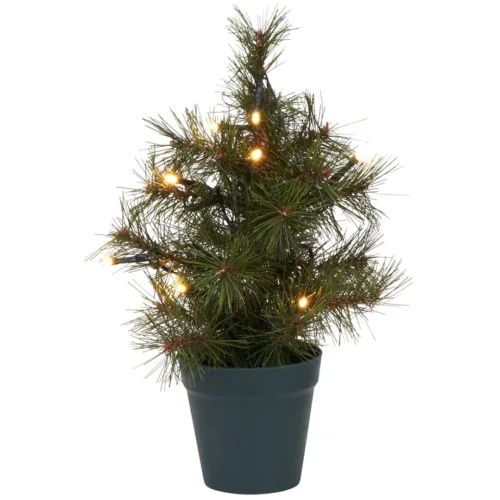Pinus juletræ