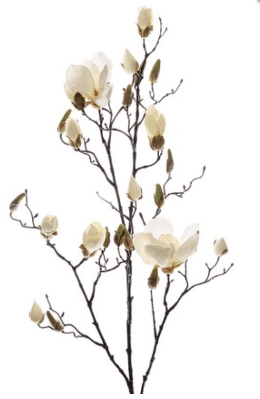Magnolie Gren Hvid 110 cm